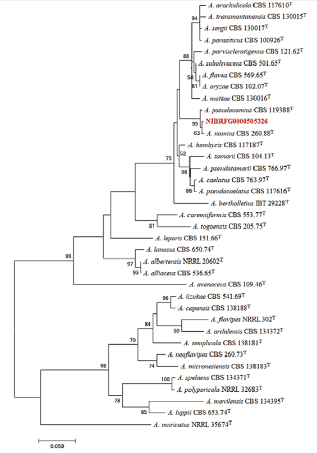 https://www.kjmycology.or.kr/images/KJOM/images/N0320490101_image/Figure_KJOM_49_01_01_F3.png