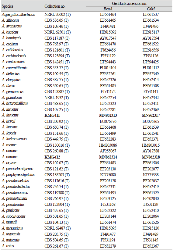 https://www.kjmycology.or.kr/images/KJOM/images/N0320490101_image/Table_KJOM_49_01_01_T2.png