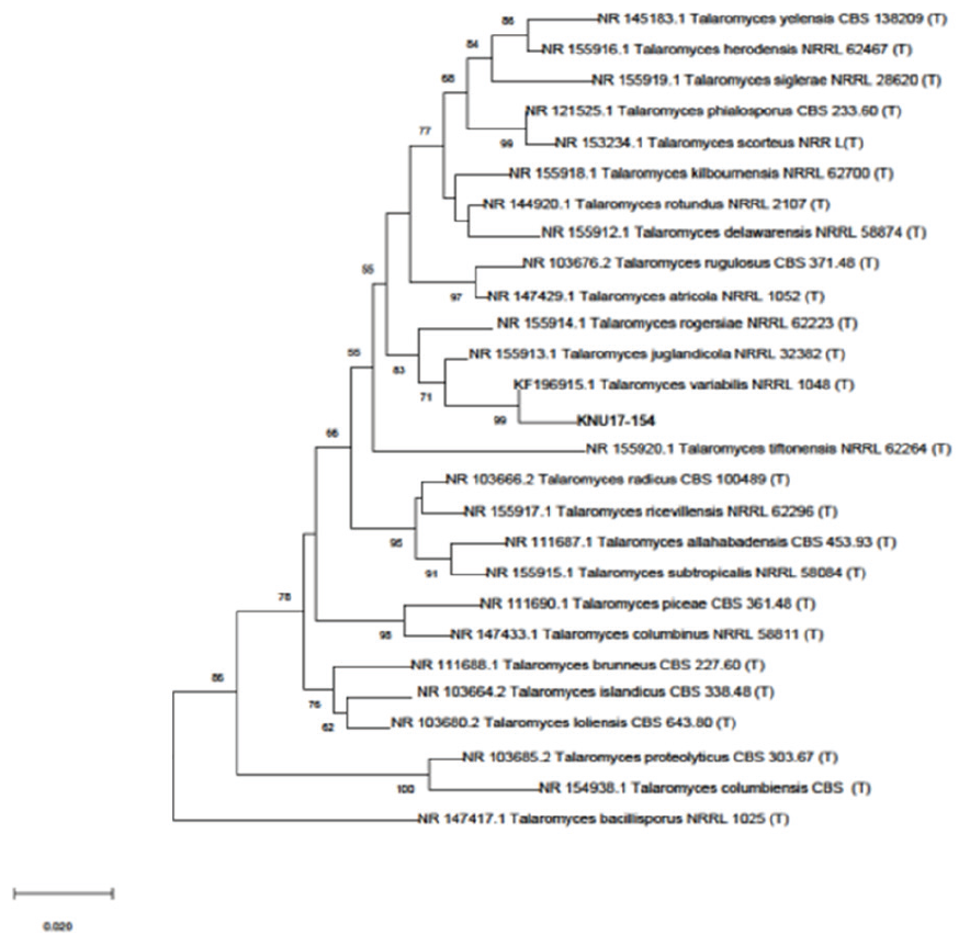 https://www.kjmycology.or.kr/images/KJOM/images/N0320490102_image/Figure_KJOM_49_01_02_F2.png