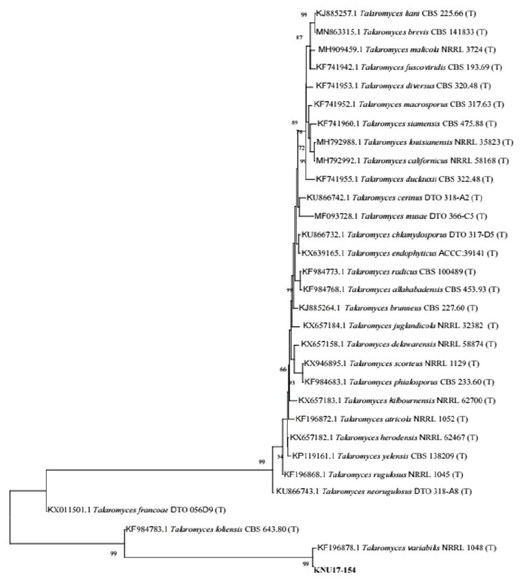 https://www.kjmycology.or.kr/images/KJOM/images/N0320490102_image/Figure_KJOM_49_01_02_F3.png