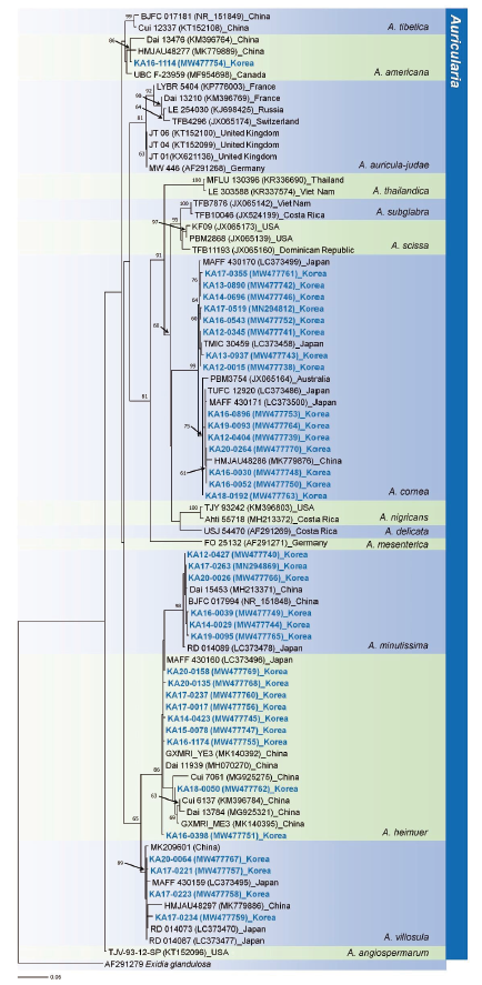 https://www.kjmycology.or.kr/images/KJOM/images/N0320490103_image/Figure_KJOM_49_01_03_F1.png