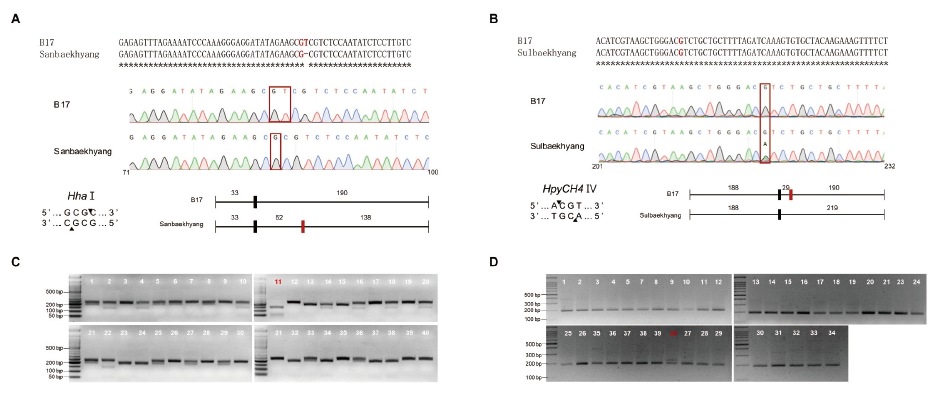 https://www.kjmycology.or.kr/images/KJOM/images/N0320490104_image/Figure_KJOM_49_01_04_F1.png