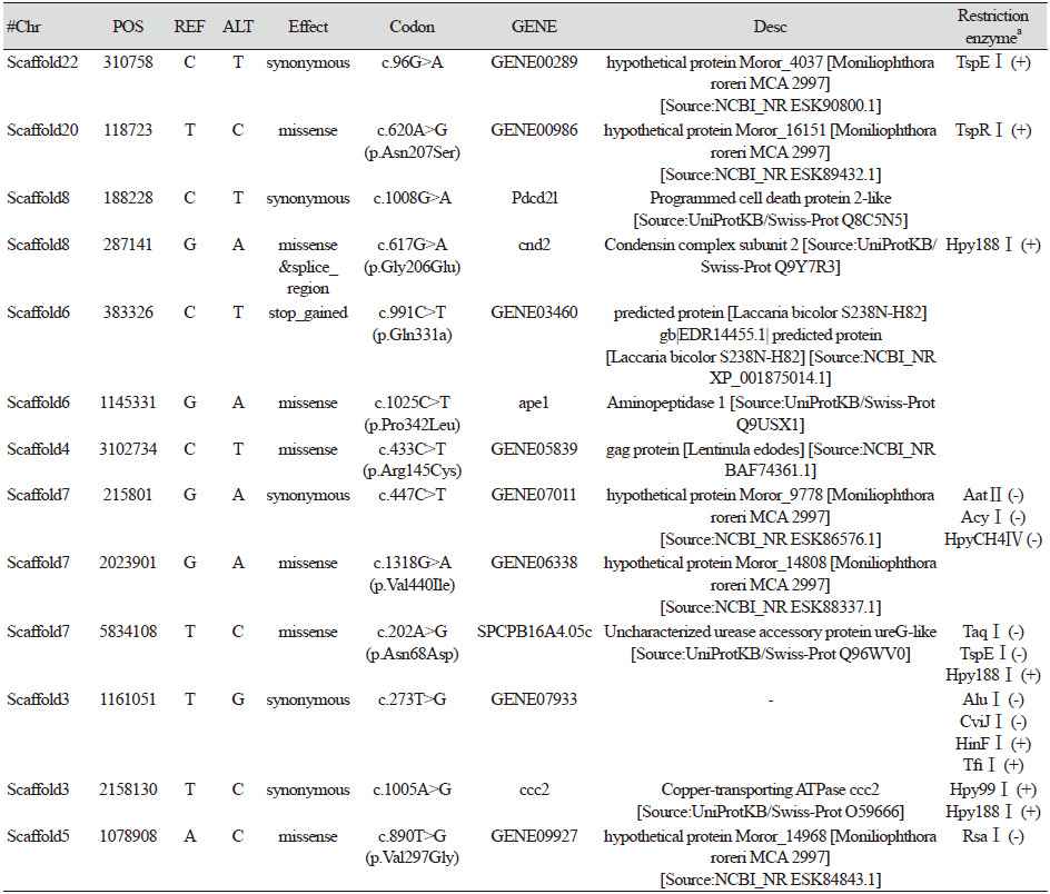 https://www.kjmycology.or.kr/images/KJOM/images/N0320490104_image/Table_KJOM_49_01_04_T3.png