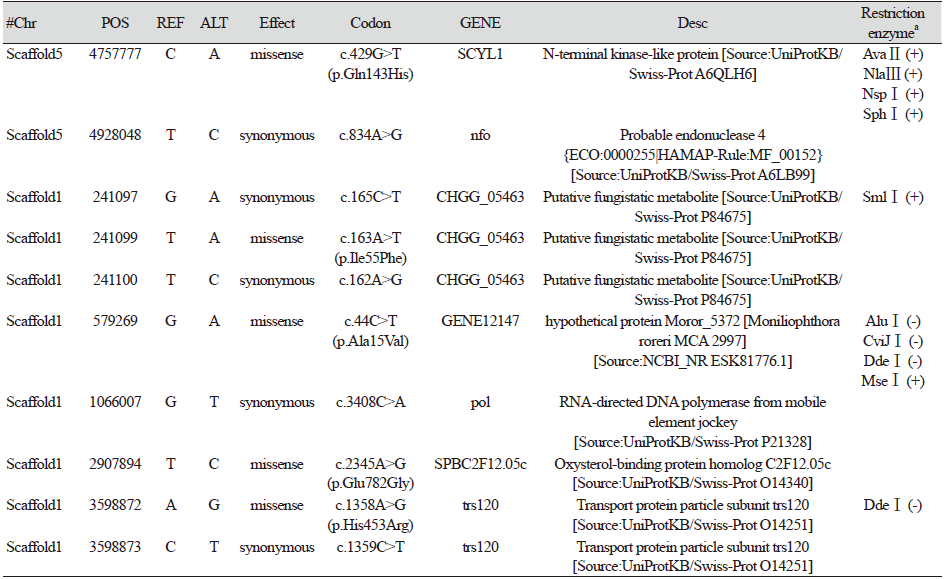 https://www.kjmycology.or.kr/images/KJOM/images/N0320490104_image/Table_KJOM_49_01_04_T3_1.png