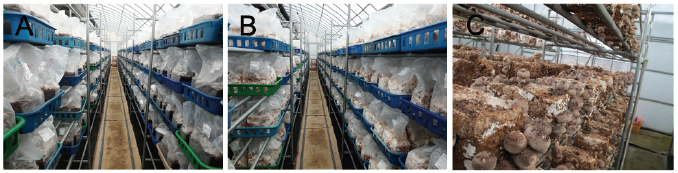 https://www.kjmycology.or.kr/images/KJOM/images/N0320490106_image/Figure_KJOM_49_01_06_F1.png