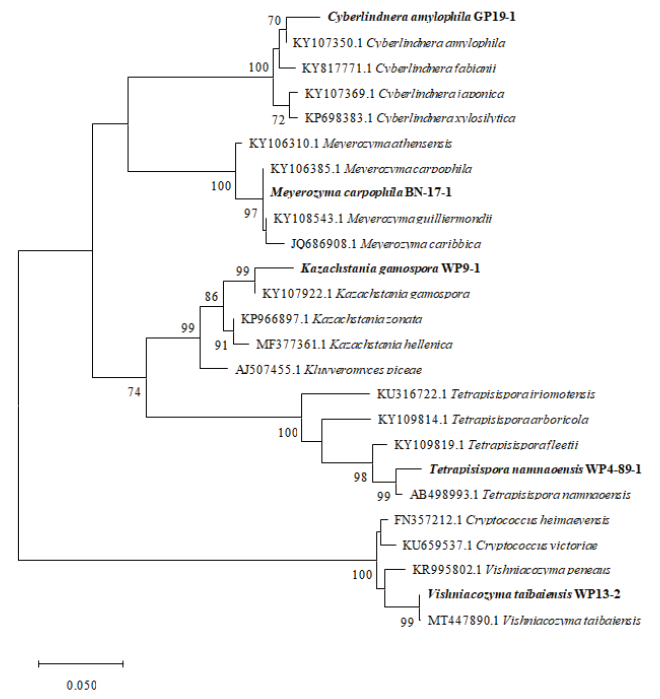 https://www.kjmycology.or.kr/images/KJOM/images/N0320490109_image/Figure_KJOM_49_01_09_F2.png