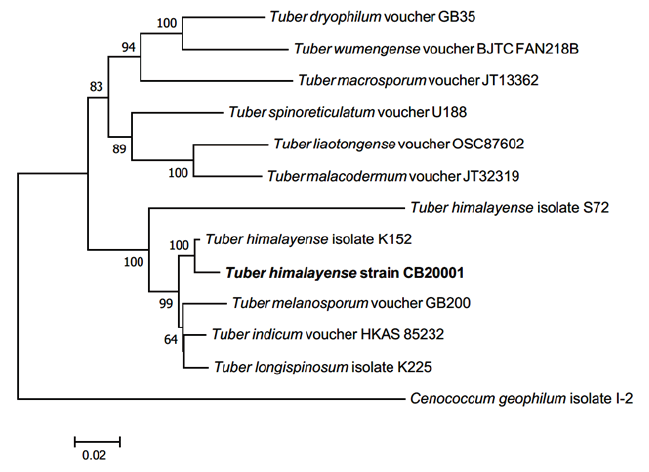 https://www.kjmycology.or.kr/images/KJOM/images/N0320490110_image/Figure_KJOM_49_01_10_F2.png