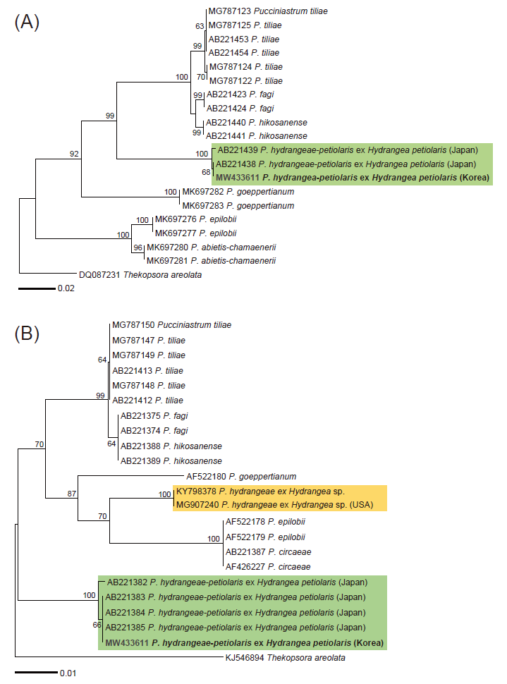 https://www.kjmycology.or.kr/images/KJOM/images/N0320490112_image/Figure_KJOM_49_01_12_F2.png