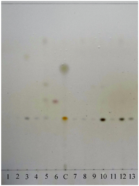 https://www.kjmycology.or.kr/images/KJOM/images/N0320490202_image/Fig_KJOM_49_02_02_F2.png