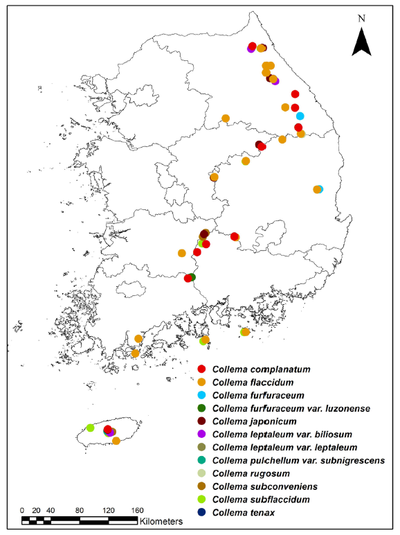 https://www.kjmycology.or.kr/images/KJOM/images/N0320490202_image/Fig_KJOM_49_02_02_F3.png