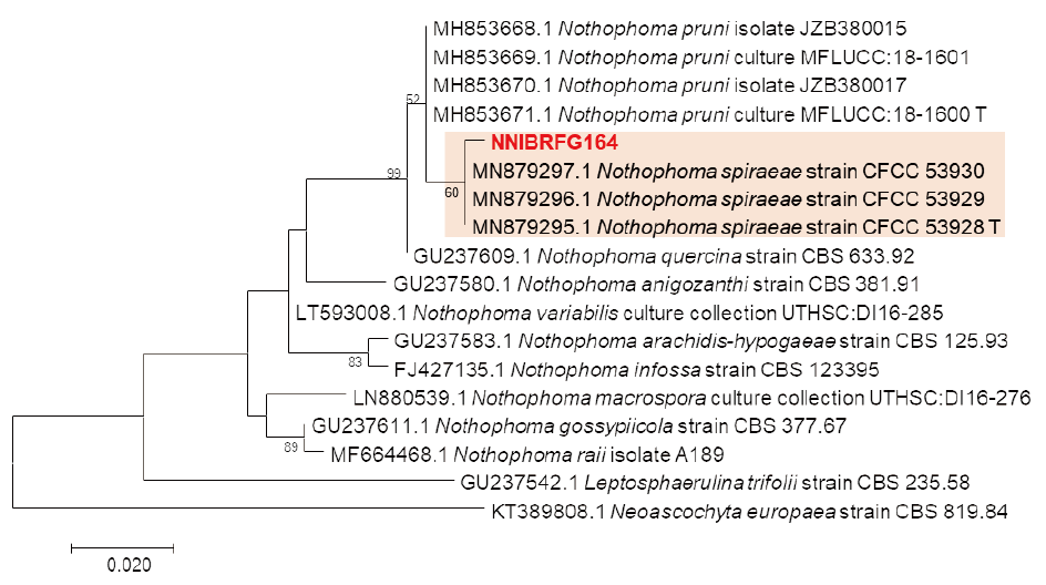 https://www.kjmycology.or.kr/images/KJOM/images/N0320490204_image/Fig_KJOM_49_02_04_F1.png