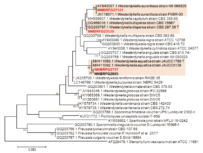 https://www.kjmycology.or.kr/images/KJOM/images/N0320490204_image/Fig_KJOM_49_02_04_F2.png