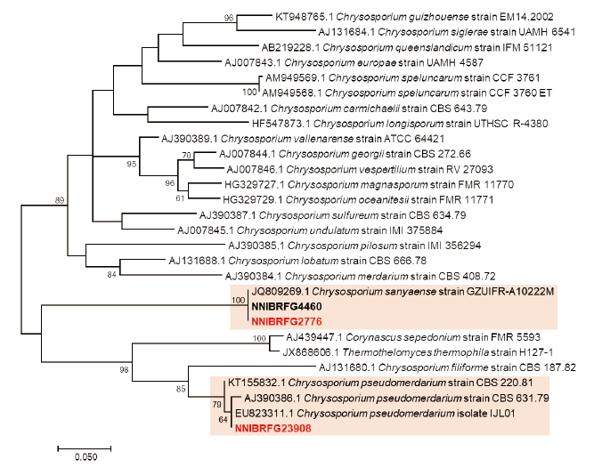 https://www.kjmycology.or.kr/images/KJOM/images/N0320490204_image/Fig_KJOM_49_02_04_F3.png