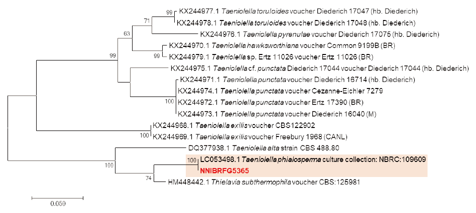 https://www.kjmycology.or.kr/images/KJOM/images/N0320490204_image/Fig_KJOM_49_02_04_F4.png