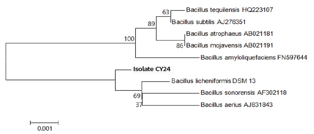 https://www.kjmycology.or.kr/images/KJOM/images/N0320490205_image/Fig_KJOM_49_02_05_F1.png