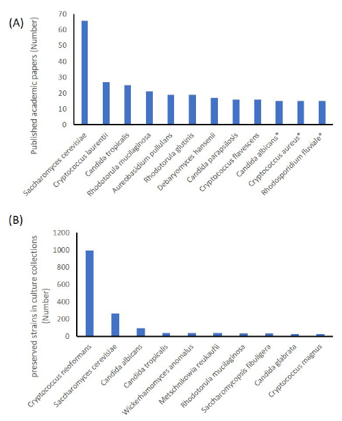 https://www.kjmycology.or.kr/images/KJOM/images/N0320490206_image/Fig_KJOM_49_02_06_F2.png