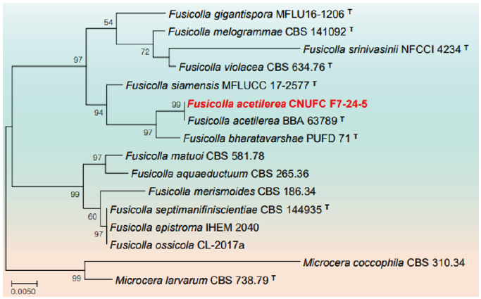 https://www.kjmycology.or.kr/images/KJOM/images/N0320490301_image/Fig_KJOM_49_03_01_F2.png