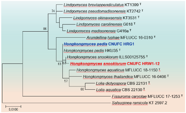 https://www.kjmycology.or.kr/images/KJOM/images/N0320490301_image/Fig_KJOM_49_03_01_F3.png