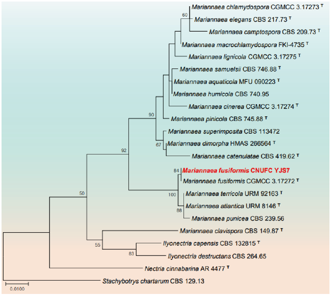 https://www.kjmycology.or.kr/images/KJOM/images/N0320490301_image/Fig_KJOM_49_03_01_F4.png