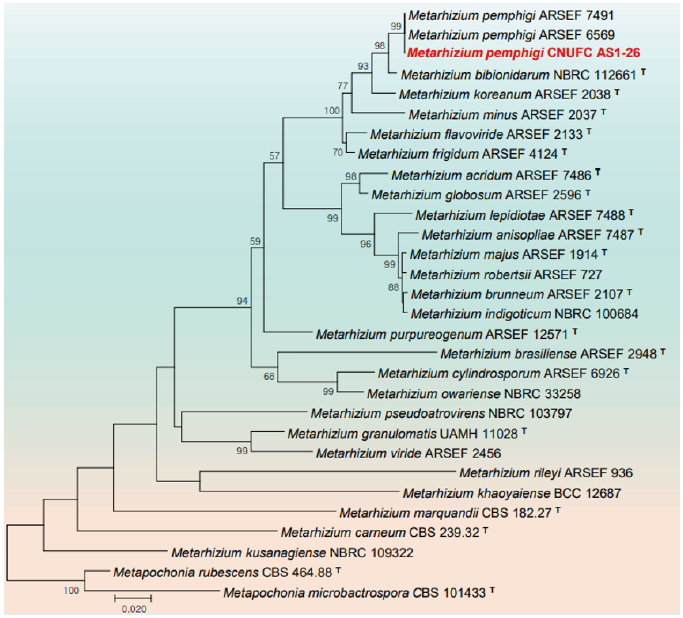 https://www.kjmycology.or.kr/images/KJOM/images/N0320490301_image/Fig_KJOM_49_03_01_F5.png