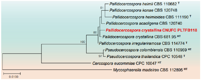 https://www.kjmycology.or.kr/images/KJOM/images/N0320490301_image/Fig_KJOM_49_03_01_F6.png