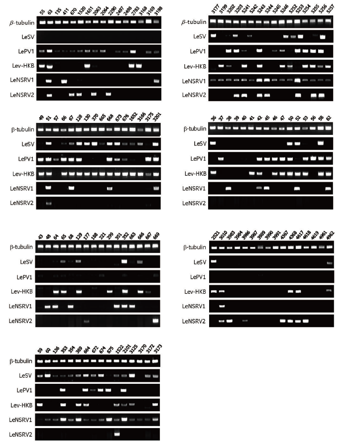 https://www.kjmycology.or.kr/images/KJOM/images/N0320490302_image/Fig_KJOM_49_03_02_F1.png