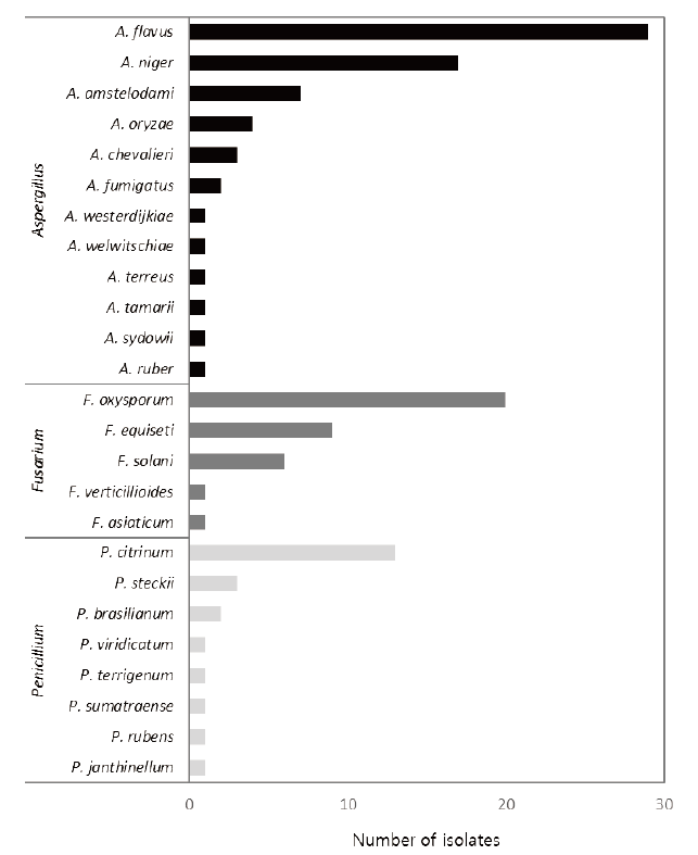 https://www.kjmycology.or.kr/images/KJOM/images/N0320490304_image/Fig_KJOM_49_03_04_F3.png