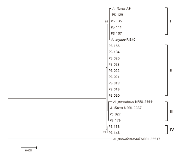 https://www.kjmycology.or.kr/images/KJOM/images/N0320490304_image/Fig_KJOM_49_03_04_F4.png