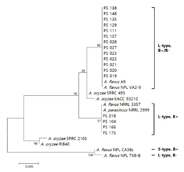 https://www.kjmycology.or.kr/images/KJOM/images/N0320490304_image/Fig_KJOM_49_03_04_F5.png