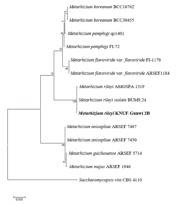https://www.kjmycology.or.kr/images/KJOM/images/N0320490305_image/Fig_KJOM_49_03_05_F4.png