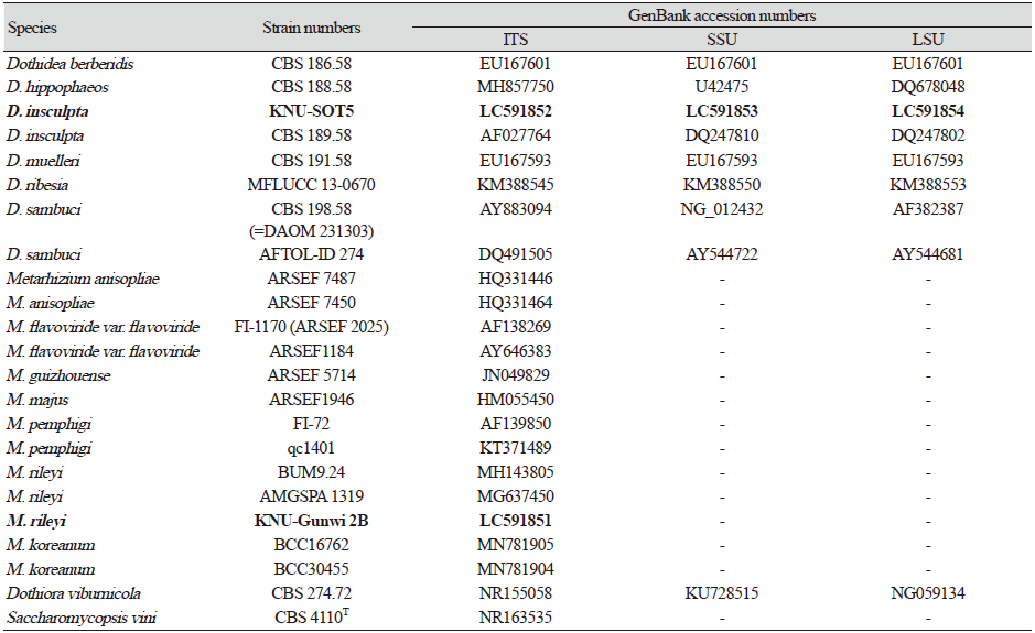 https://www.kjmycology.or.kr/images/KJOM/images/N0320490305_image/Table_KJOM_49_03_05_T1.png