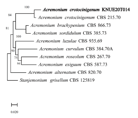 https://www.kjmycology.or.kr/images/KJOM/images/N0320490306_image/Fig_KJOM_49_03_06_F2.png
