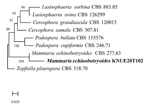 https://www.kjmycology.or.kr/images/KJOM/images/N0320490306_image/Fig_KJOM_49_03_06_F6.png