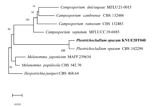 https://www.kjmycology.or.kr/images/KJOM/images/N0320490306_image/Fig_KJOM_49_03_06_F8.png