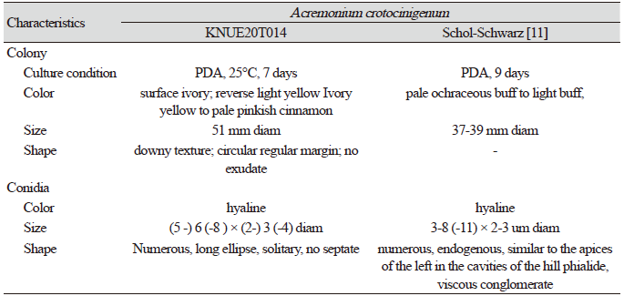 https://www.kjmycology.or.kr/images/KJOM/images/N0320490306_image/Table_KJOM_49_03_06_T1.png