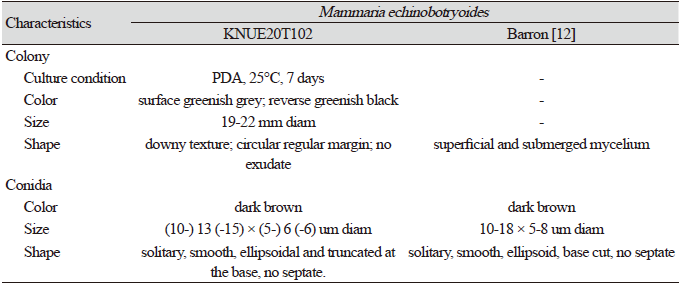 https://www.kjmycology.or.kr/images/KJOM/images/N0320490306_image/Table_KJOM_49_03_06_T2.png