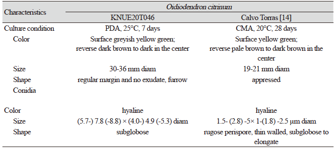 https://www.kjmycology.or.kr/images/KJOM/images/N0320490306_image/Table_KJOM_49_03_06_T3.png