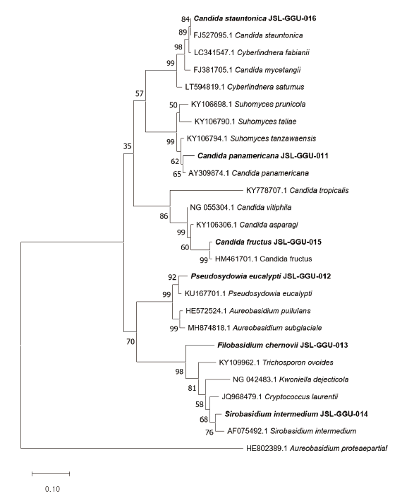 https://www.kjmycology.or.kr/images/KJOM/images/N0320490307_image/Fig_KJOM_49_03_07_F1A.png