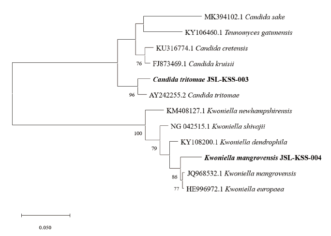 https://www.kjmycology.or.kr/images/KJOM/images/N0320490307_image/Fig_KJOM_49_03_07_F1B.png