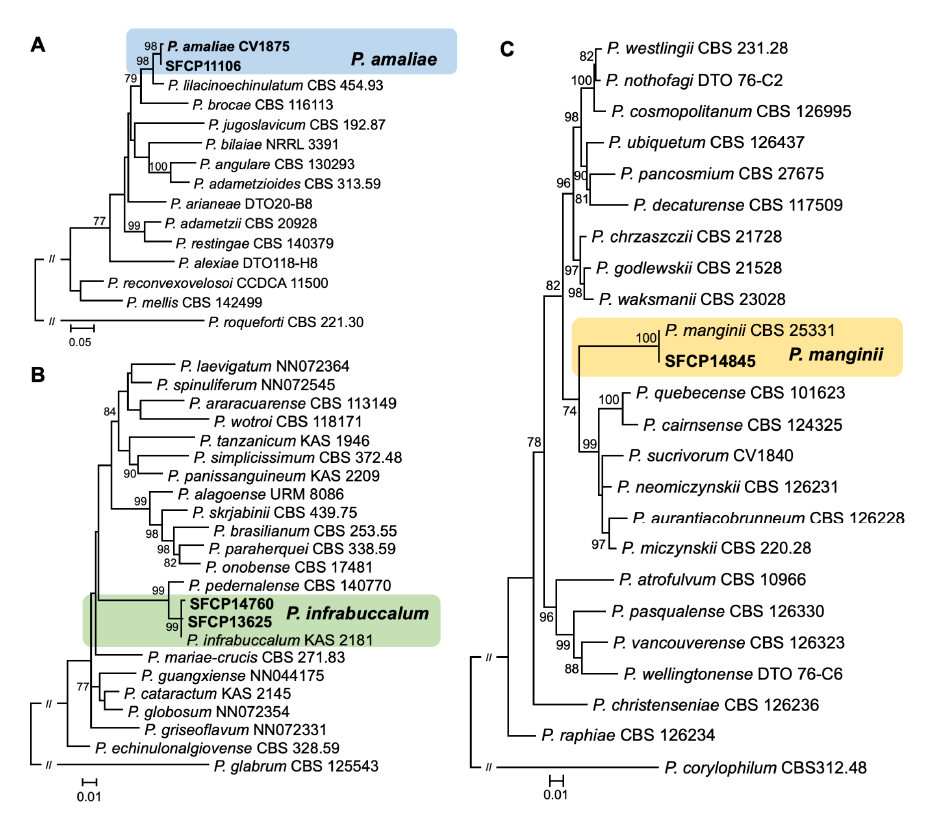 https://www.kjmycology.or.kr/images/KJOM/images/N0320490308_image/Fig_KJOM_49_03_08_F1.png