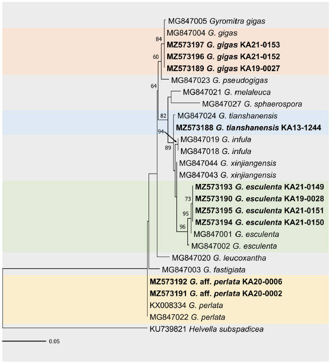 https://www.kjmycology.or.kr/images/KJOM/images/N0320490309_image/Fig_KJOM_49_03_09_F2.png
