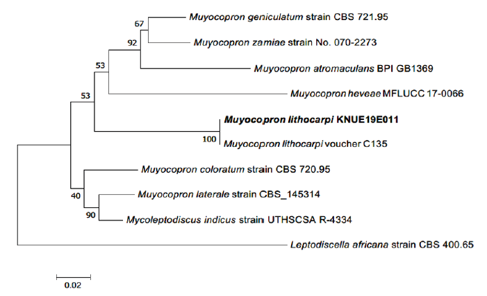 https://www.kjmycology.or.kr/images/KJOM/images/N0320490310_image/Fig_KJOM_49_03_10_F2.png