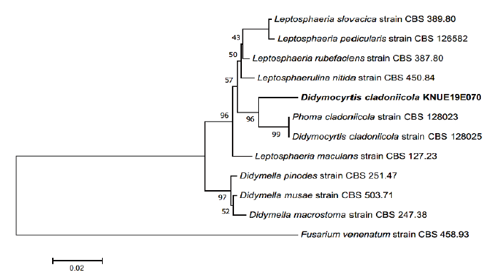 https://www.kjmycology.or.kr/images/KJOM/images/N0320490310_image/Fig_KJOM_49_03_10_F3.png