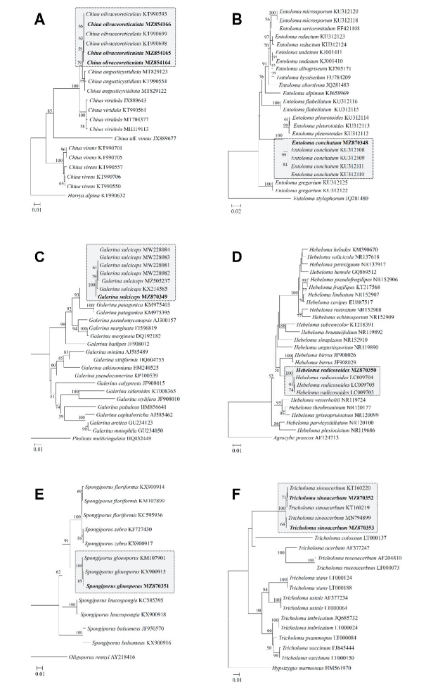 https://www.kjmycology.or.kr/images/KJOM/images/N0320490312_image/Fig_KJOM_49_03_12_F2.png