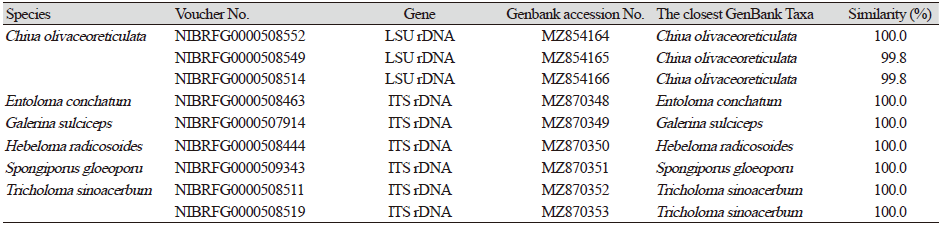 https://www.kjmycology.or.kr/images/KJOM/images/N0320490312_image/Table_KJOM_49_03_12_T1.png
