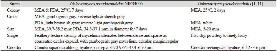 https://www.kjmycology.or.kr/images/KJOM/images/N0320490313_image/Table_KJOM_49_03_13_T1.png
