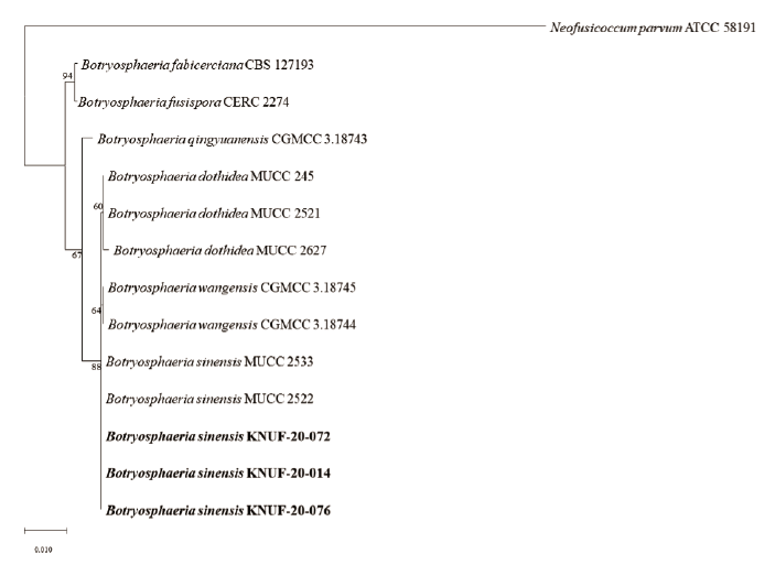 https://www.kjmycology.or.kr/images/KJOM/images/N0320490317_image/Fig_KJOM_49_03_17_F2.png
