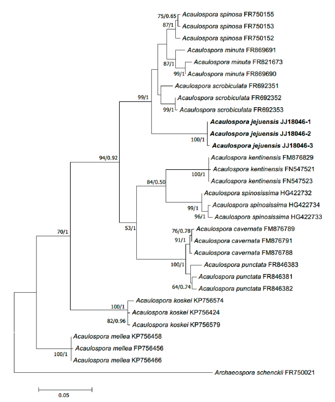 https://www.kjmycology.or.kr/images/KJOM/images/N0320490401_image/Fig_KJOM_49_04_01_F1.png
