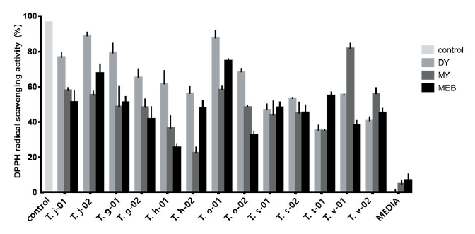 https://www.kjmycology.or.kr/images/KJOM/images/N0320490402_image/Fig_KJOM_49_04_02_F1.png