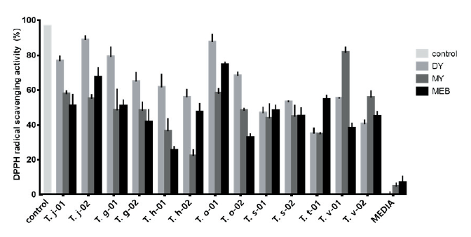 https://www.kjmycology.or.kr/images/KJOM/images/N0320490402_image/Fig_KJOM_49_04_02_F2.png